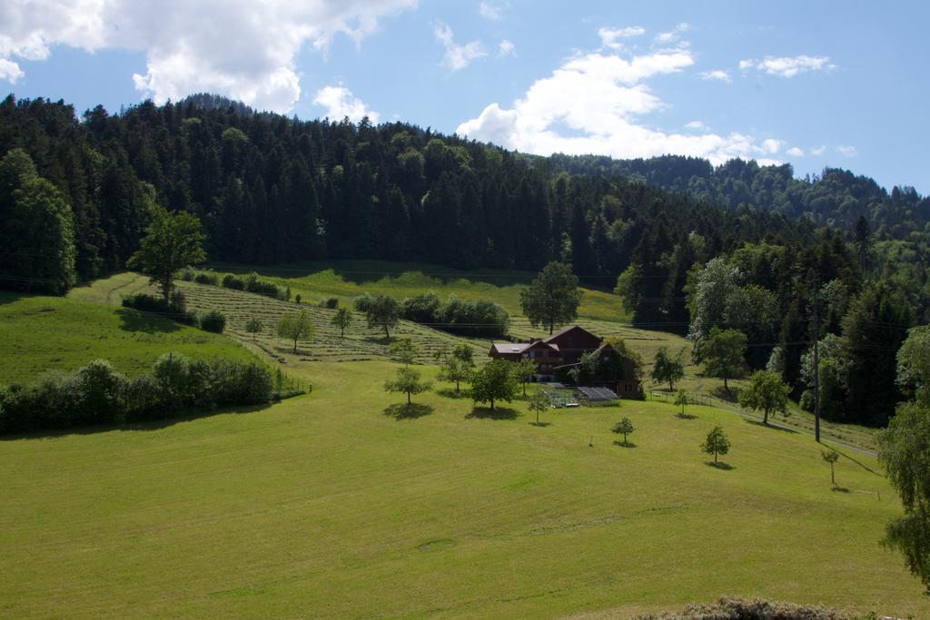 Boutique Hotel Himmelrich Horw Pokój zdjęcie